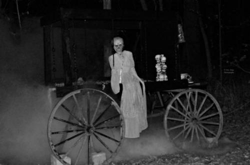 carriage-of-the-dead