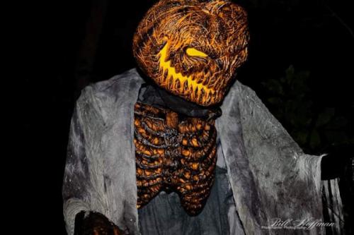 pumpkinhead