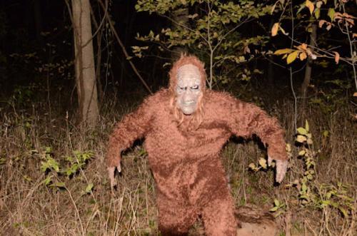 sasquatch-in-woods