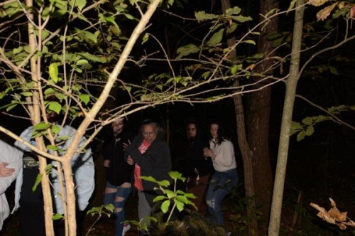 Haunted Woods Visitors in the Woods