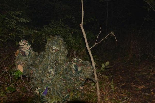 Haunted Woods Moss Man